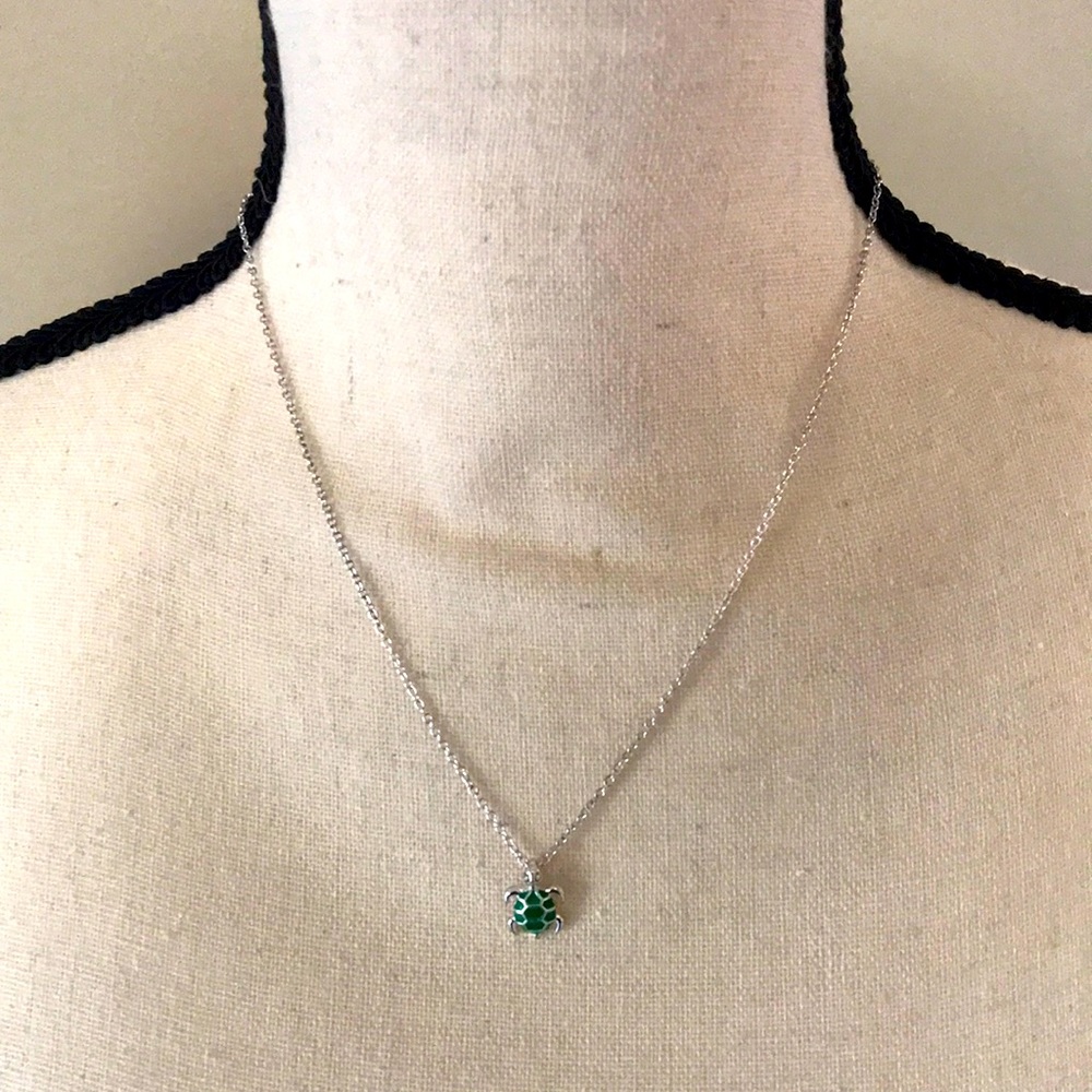 Trendy Jewels, Silver necklace with turtle charm.